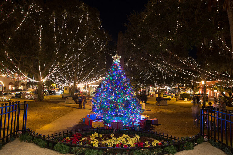 night time picture of St. Augustine plaza with large trees and Christmas tree decorated with holiday lights