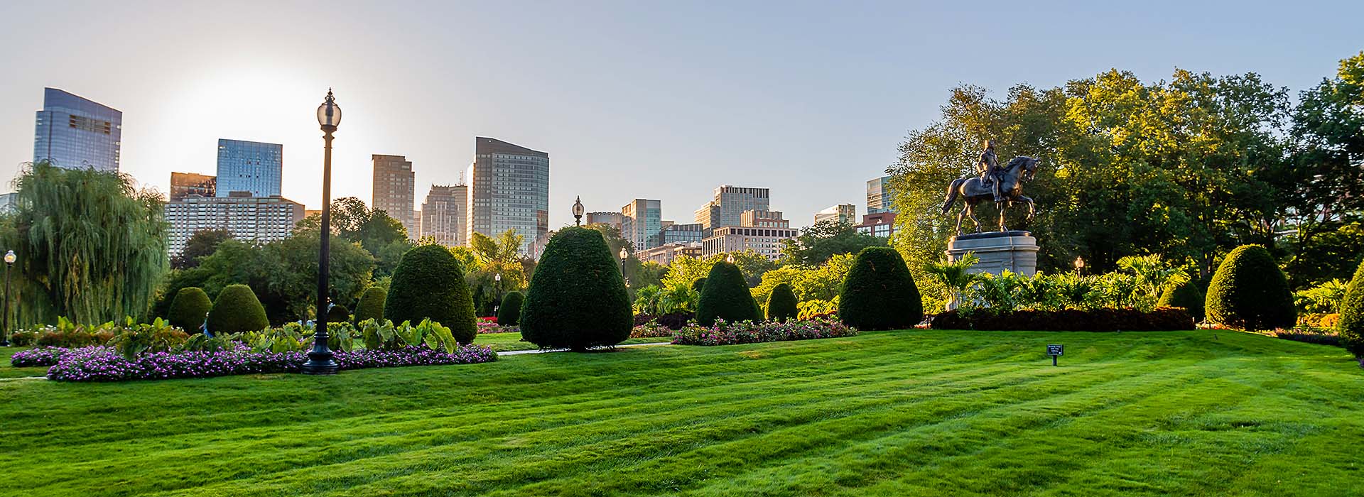 Boston park and skyline