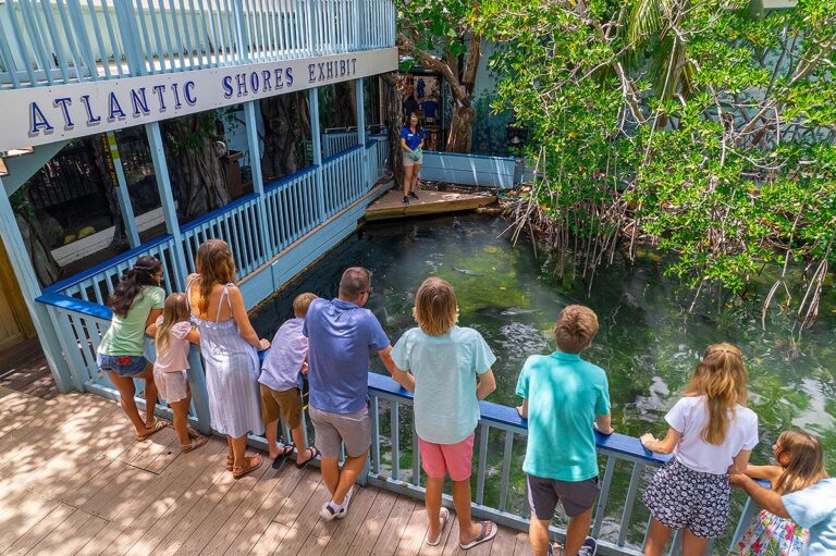 Guests looking down at the Atlantic Shores exhibit at the Key West Aquarium