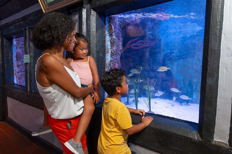 family staring at fish in tanks at Key West Aquarium