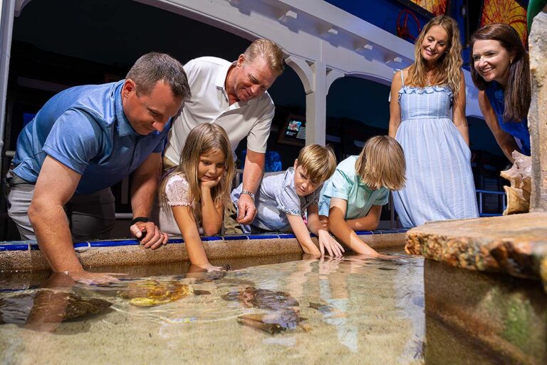 guests at touch tank at the Key West Aquarium