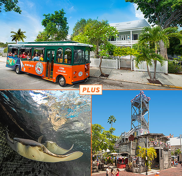 Key West Trolley, Aquarium and Shipwreck Package