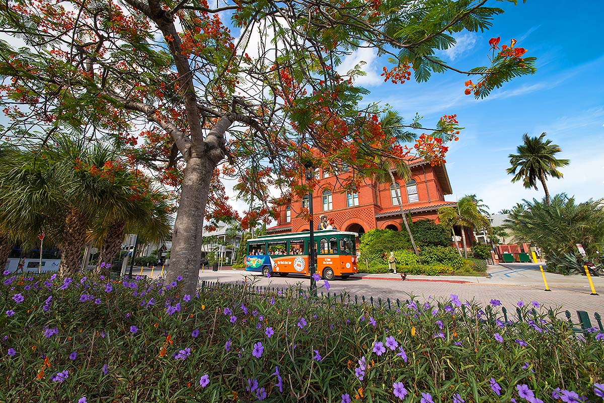 Key West Old Town Trolley and Custom House