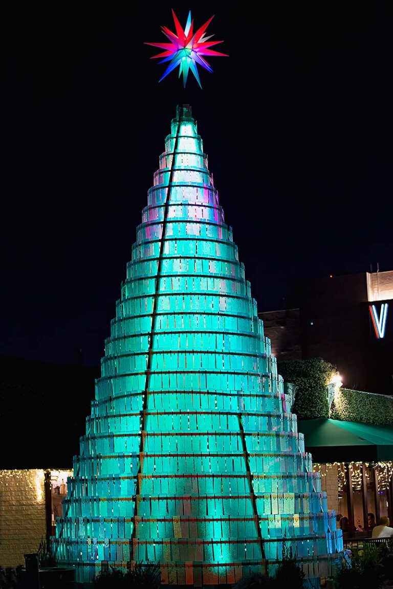 San Diego holiday lit up tree
