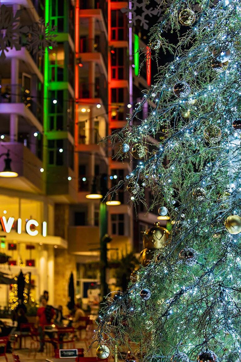 San Diego holiday tree and lights