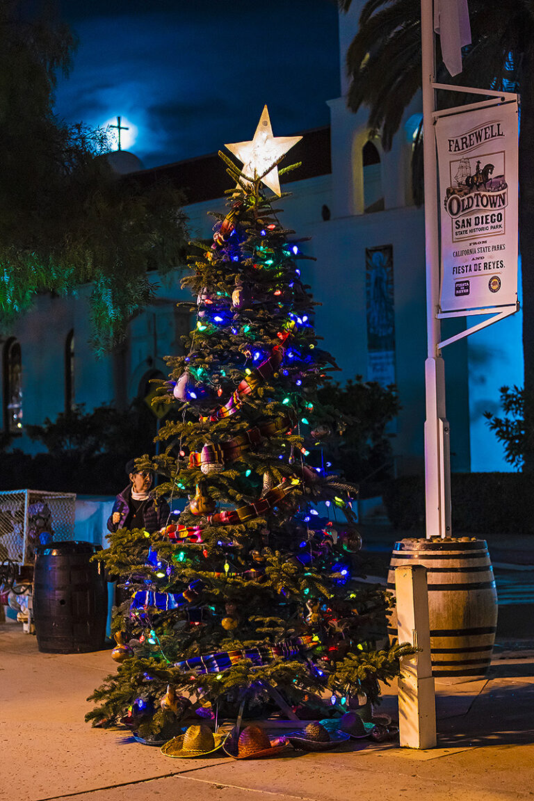 San Diego holiday tree