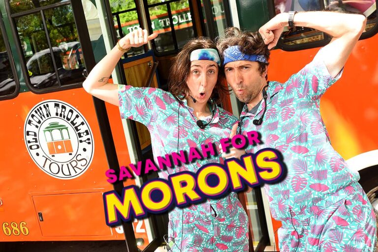 Savannah for morons tour image