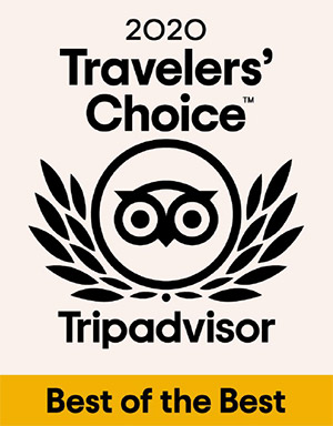 2020 Travelers Choice