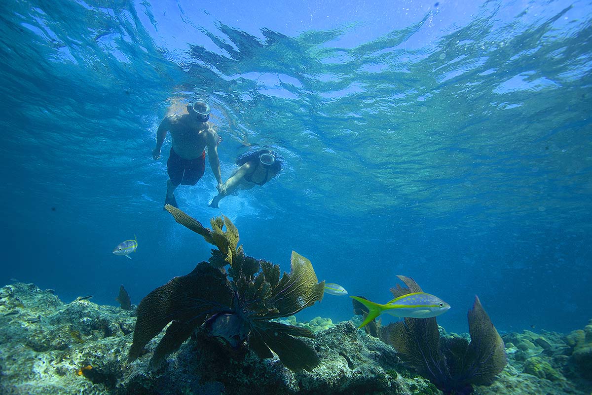 Key West snorkeling