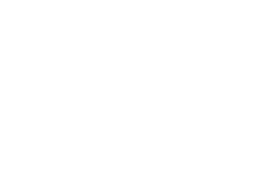 nights of lights logo