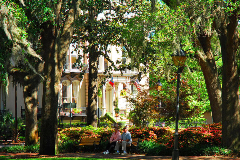 Savannah square