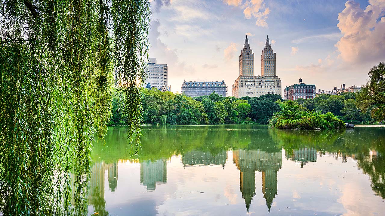 New York in Summer