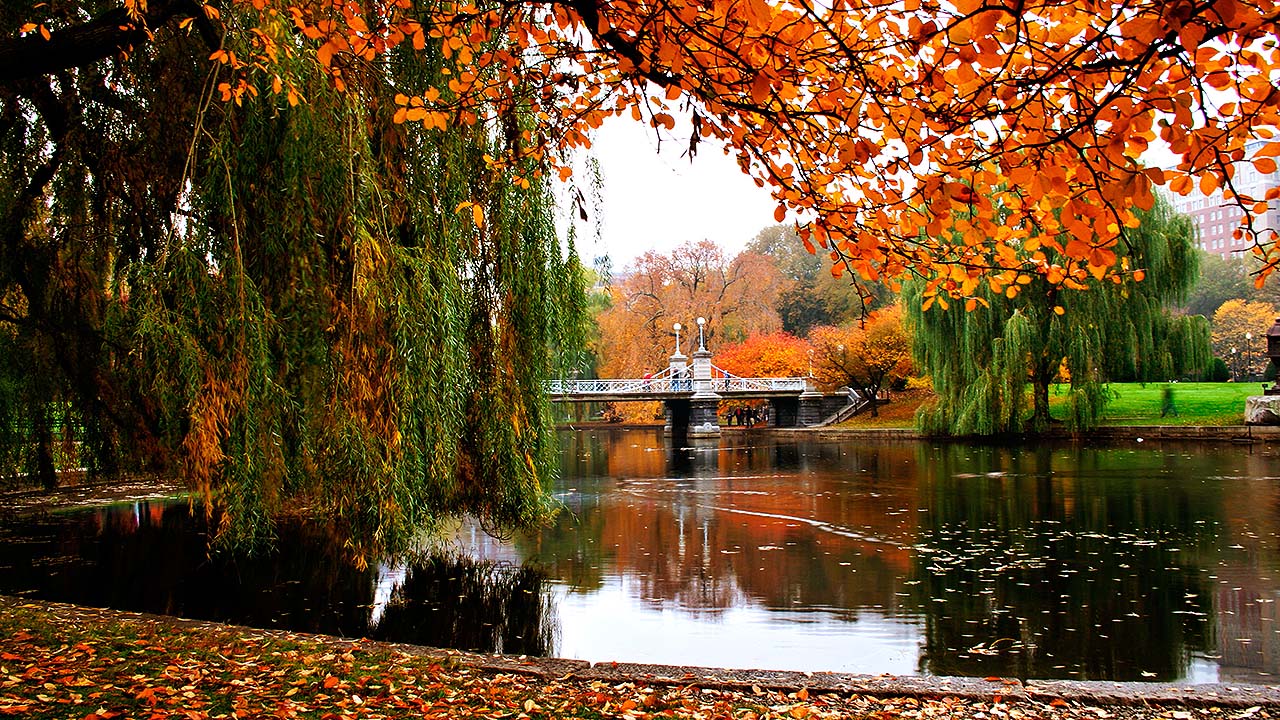 Boston in Fall