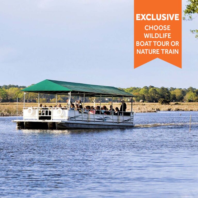 Magnolia Plantation boat tour