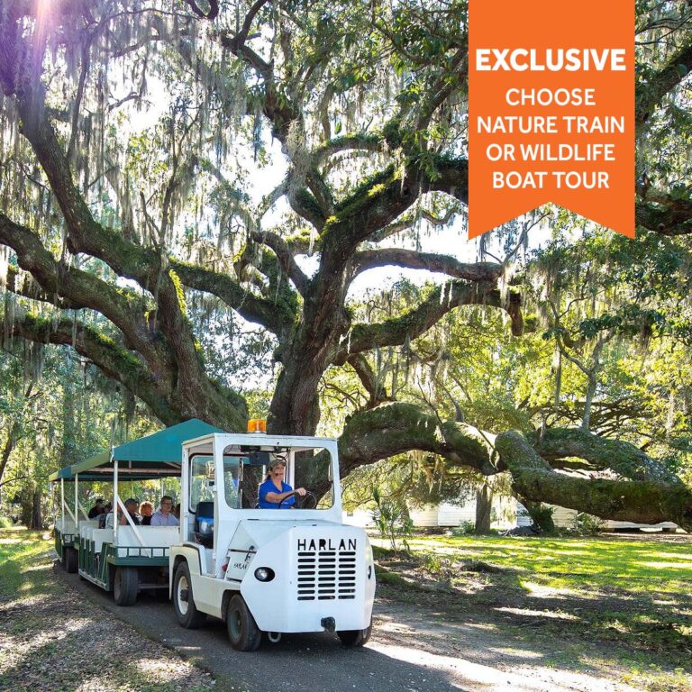 Magnolia Plantation train tour