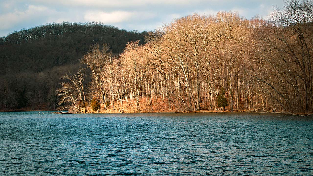 People looking at the vast blue Radnor lake surrounded by huge forests