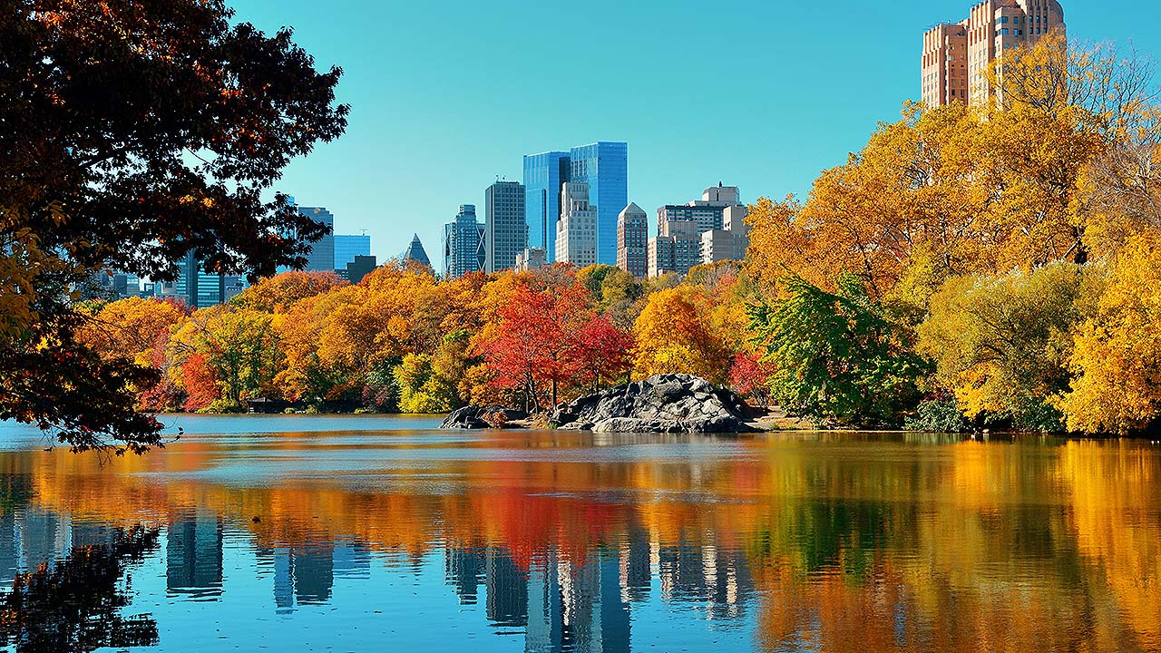 New York City in Fall
