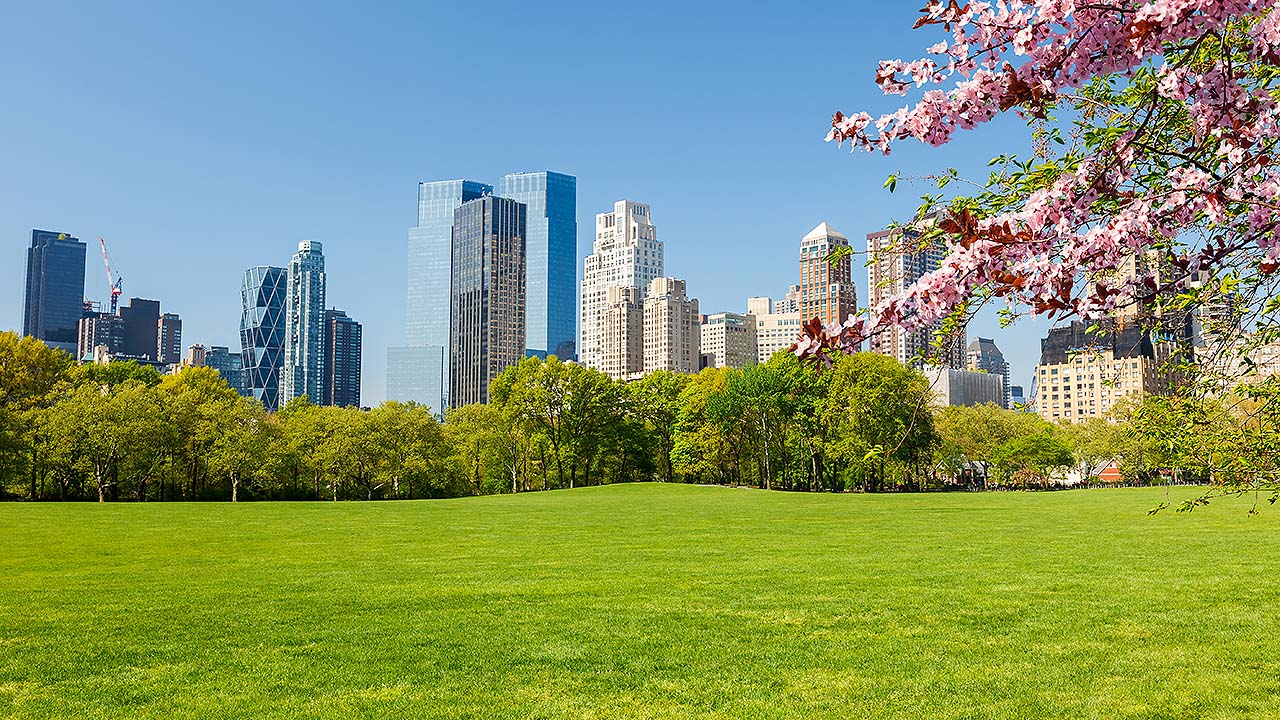 New York in spring