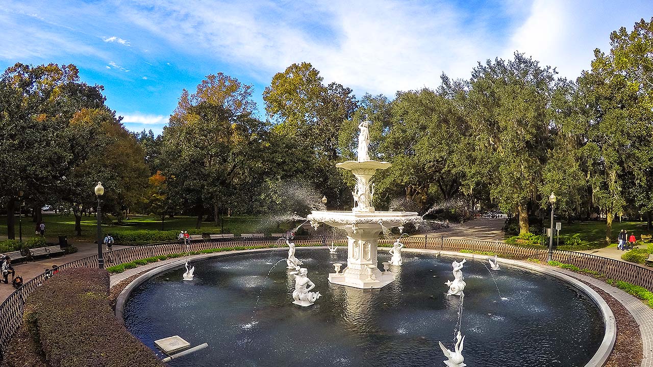 Savannah in spring