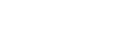 San Antonio City Lights Night Tour logo