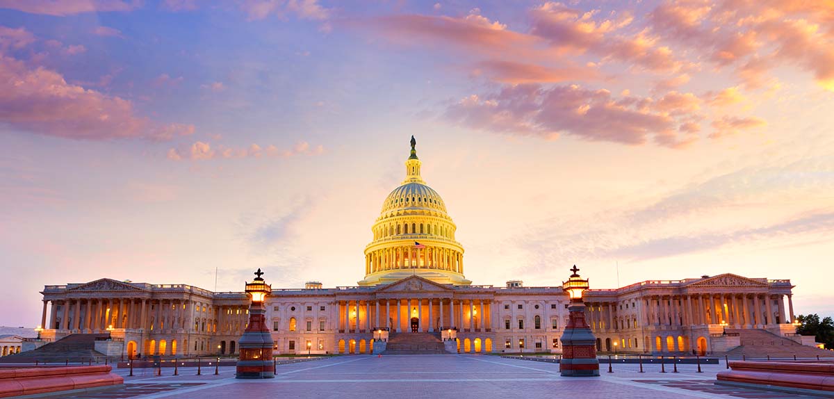 Washington DC Capitol during summer