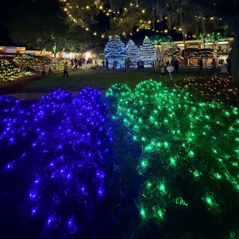 Charleston holiday lights display