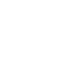 Visit San Antonio logo